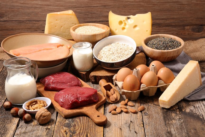 aliments riches en protéines